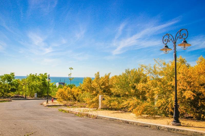 Ảnh slide minh họa 2